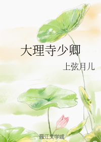 大理寺少卿